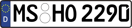 MS-HO2290
