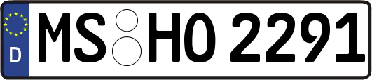 MS-HO2291