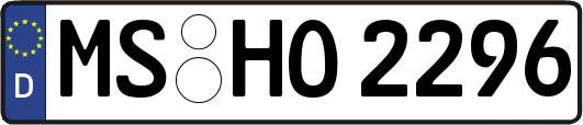 MS-HO2296