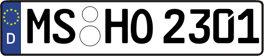 MS-HO2301
