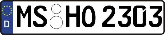 MS-HO2303