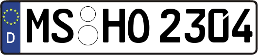 MS-HO2304