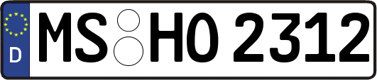 MS-HO2312