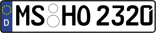 MS-HO2320
