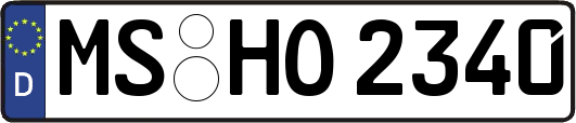 MS-HO2340