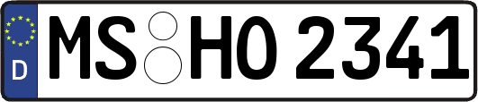 MS-HO2341