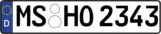 MS-HO2343