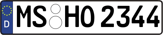 MS-HO2344
