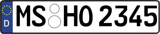 MS-HO2345