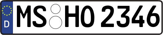 MS-HO2346