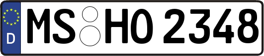 MS-HO2348