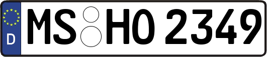 MS-HO2349