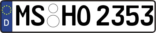 MS-HO2353
