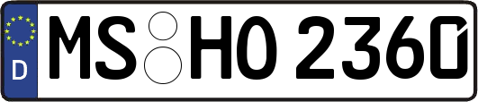 MS-HO2360