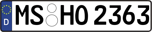 MS-HO2363