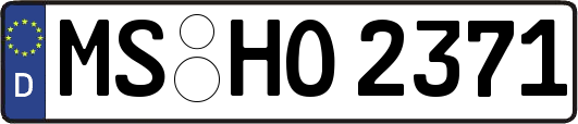 MS-HO2371