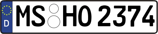 MS-HO2374
