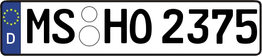 MS-HO2375