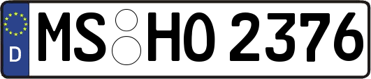 MS-HO2376