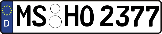 MS-HO2377