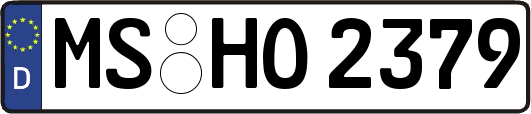 MS-HO2379