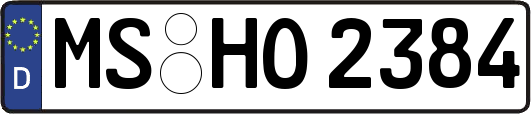 MS-HO2384