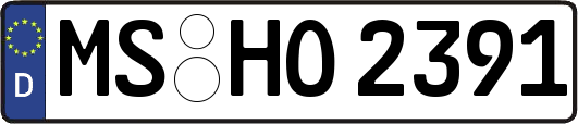 MS-HO2391