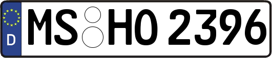 MS-HO2396