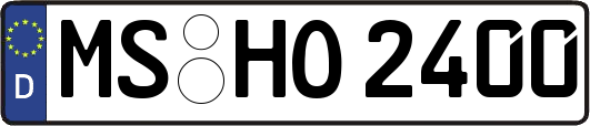 MS-HO2400
