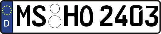 MS-HO2403