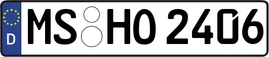 MS-HO2406