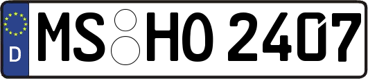 MS-HO2407
