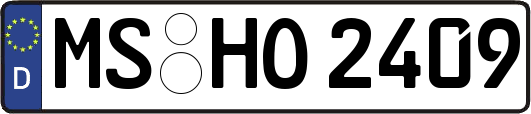 MS-HO2409