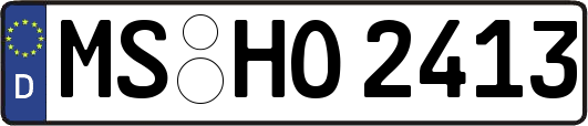MS-HO2413
