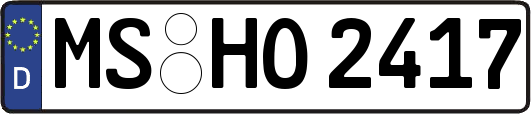 MS-HO2417