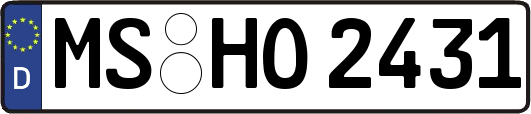 MS-HO2431