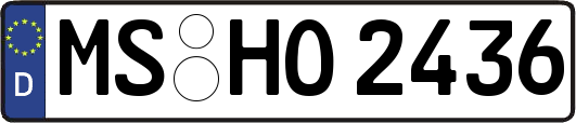 MS-HO2436