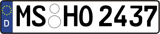 MS-HO2437