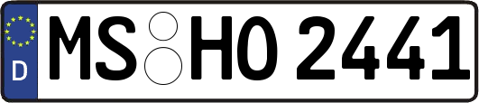 MS-HO2441