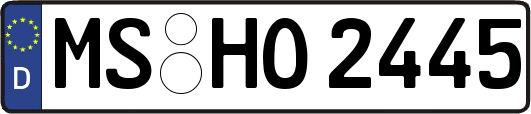 MS-HO2445