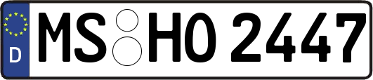 MS-HO2447