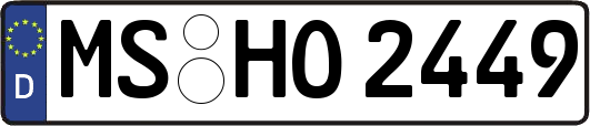 MS-HO2449