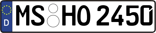MS-HO2450