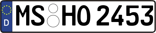 MS-HO2453