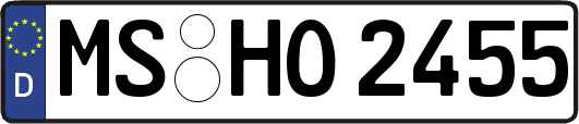 MS-HO2455