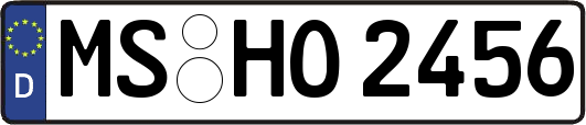 MS-HO2456