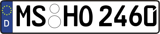 MS-HO2460