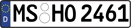 MS-HO2461