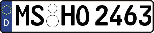 MS-HO2463