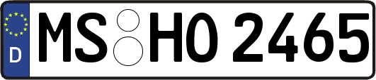 MS-HO2465